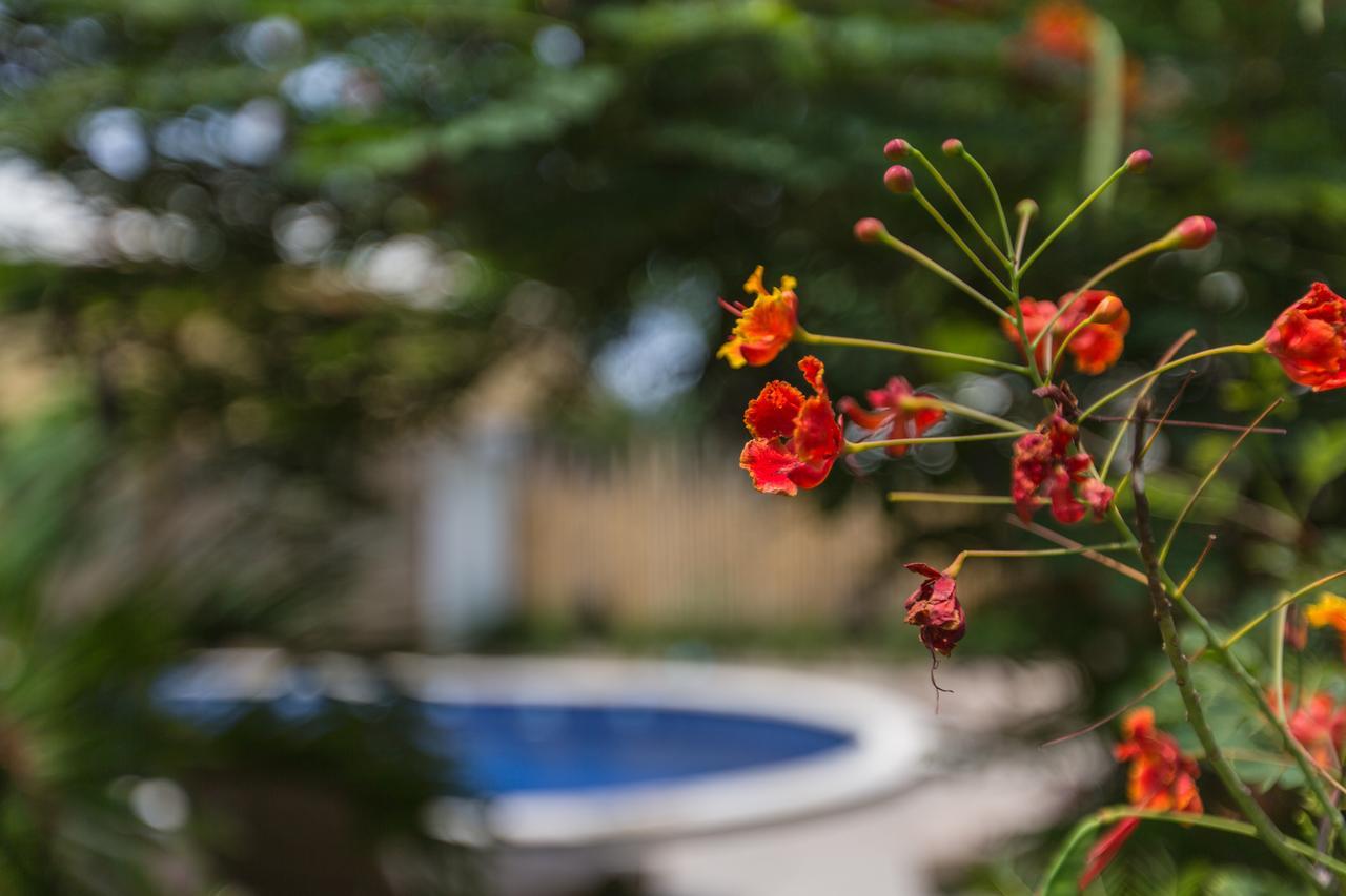 Kelapa Cottage Amed Exterior foto